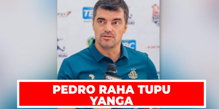 PEDRO RAHA TUPU YANGA