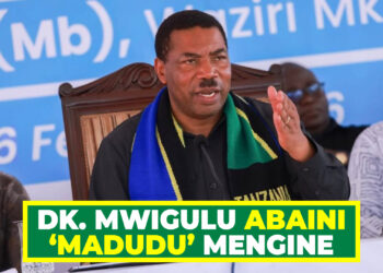 DK. MWIGULU ABAINI ‘MADUDU’ MENGINE