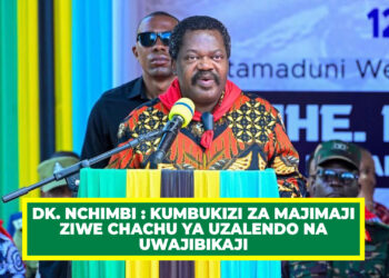 DK. NCHIMBI : KUMBUKIZI ZA MAJIMAJI ZIWE CHACHU YA UZALENDO NA UWAJIBIKAJI
