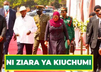 NI ZIARA YA KIUCHUMI