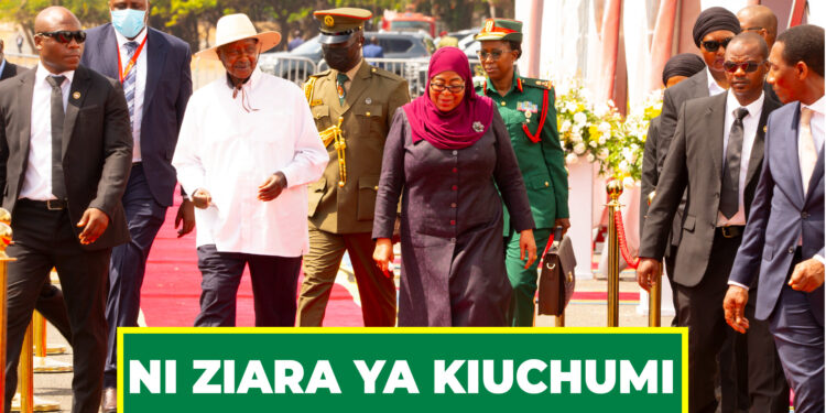 NI ZIARA YA KIUCHUMI