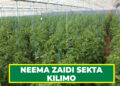NEEMA ZAIDI SEKTA KILIMO