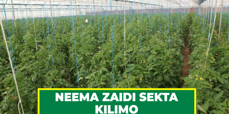 NEEMA ZAIDI SEKTA KILIMO