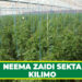 NEEMA ZAIDI SEKTA KILIMO