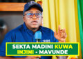 SEKTA MADINI KUWA INJINI – MAVUNDE