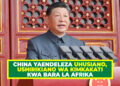 CHINA YAENDELEZA UHUSIANO, USHIRIKIANO WA KIMKAKATI KWA BARA LA AFRIKA