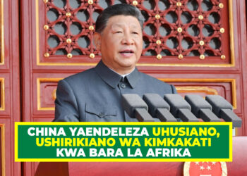 CHINA YAENDELEZA UHUSIANO, USHIRIKIANO WA KIMKAKATI KWA BARA LA AFRIKA
