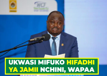UKWASI MIFUKO HIFADHI YA JAMII NCHINI, WAPAA