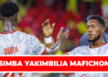 SIMBA YAKIMBILIA MAFICHONI