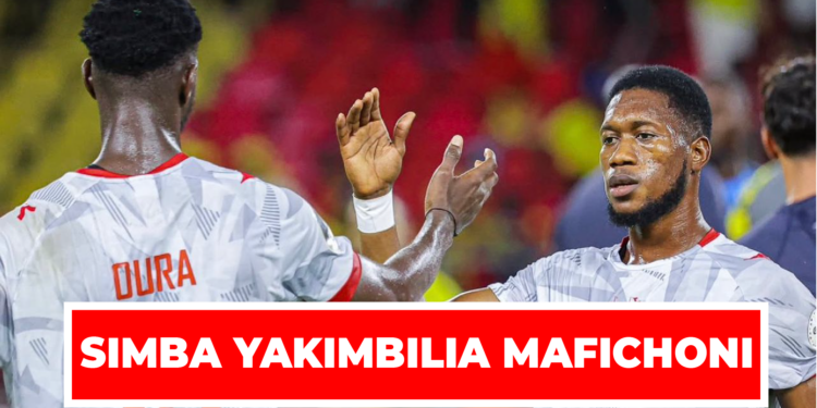 SIMBA YAKIMBILIA MAFICHONI