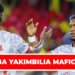 SIMBA YAKIMBILIA MAFICHONI