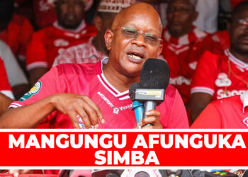 MANGUNGU AFUNGUKA SIMBA