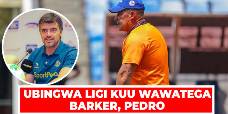 UBINGWA LIGI KUU WAWATEGA BARKER, PEDRO 