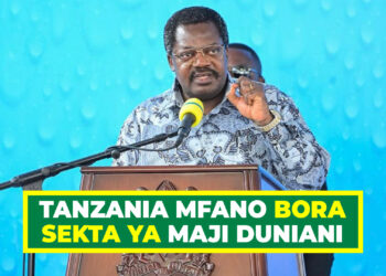 TANZANIA MFANO BORA SEKTA YA MAJI DUNIANI