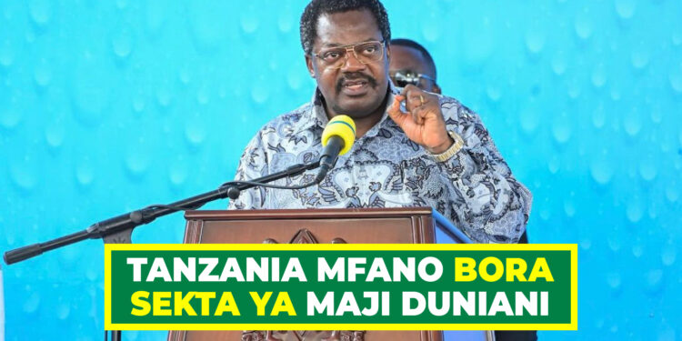 TANZANIA MFANO BORA SEKTA YA MAJI DUNIANI