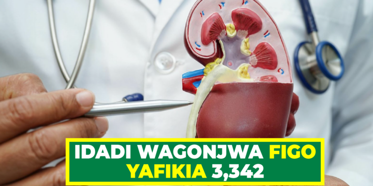 IDADI WAGONJWA FIGO YAFIKIA 3,342