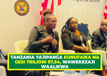 TANZANIA YAJIPANGA KUNUFAIKA NA GESI TRILIONI 57.54, WAWEKEZAJI WAALIKWA