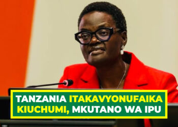 TANZANIA ITAKAVYONUFAIKA KIUCHUMI, MKUTANO WA IPU