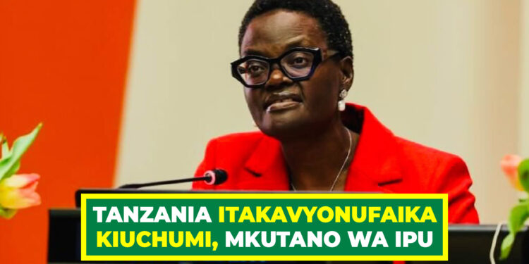 TANZANIA ITAKAVYONUFAIKA KIUCHUMI, MKUTANO WA IPU