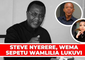 STEVE NYERERE, WEMA SEPETU WAMLILIA LUKUVI