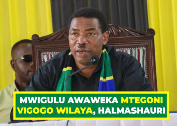 MWIGULU AWAWEKA MTEGONI VIGOGO WILAYA, HALMASHAURI