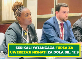 SERIKALI YATANGAZA FURSA ZA UWEKEZAJI NISHATI ZA DOLA BIL. 12.9