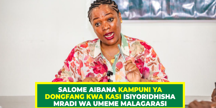 SALOME AIBANA KAMPUNI YA DONGFANG KWA KASI ISIYORIDHISHA MRADI WA UMEME MALAGARASI