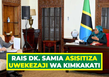 RAIS DK. SAMIA ASISITIZA UWEKEZAJI WA KIMKAKATI