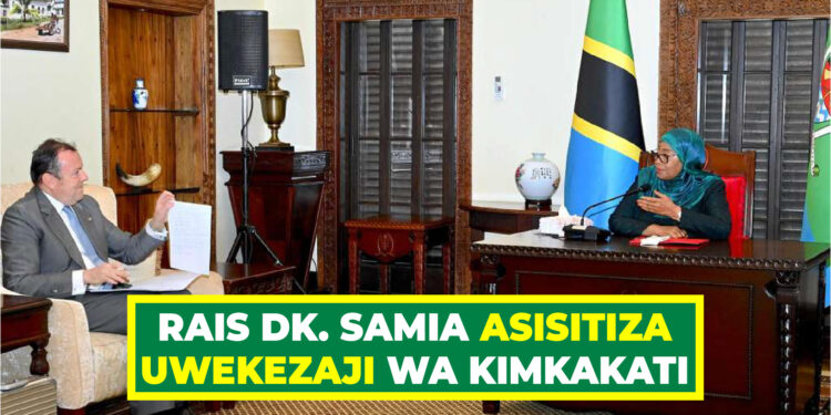 RAIS DK. SAMIA ASISITIZA UWEKEZAJI WA KIMKAKATI