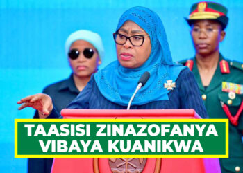 TAASISI ZINAZOFANYA VIBAYA KUANIKWA