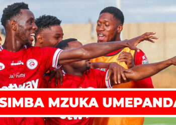 SIMBA MZUKA UMEPANDA