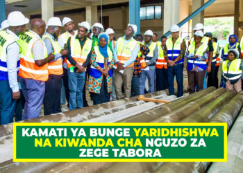 KAMATI YA BUNGE YARIDHISHWA NA KIWANDA CHA NGUZO ZA ZEGE TABORA, UZALISHAJI WAANZA RASMI