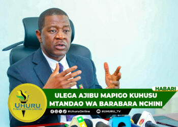 ULEGA AJIBU MAPIGO KUHUSU MTANDAO WA BARABARA NCHINI
