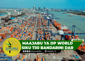 MAAJABU YA DP WORLD SIKU 730 BANDARINI DAR