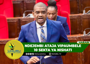 NDEJEMBI ATAJA VIPAUMBELE 10 SEKTA YA NISHATI