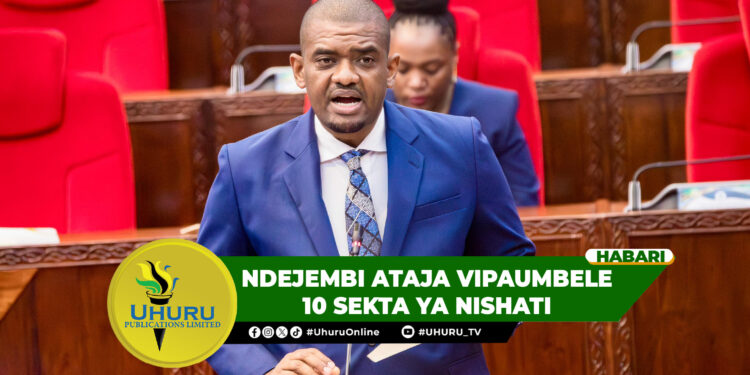 NDEJEMBI ATAJA VIPAUMBELE 10 SEKTA YA NISHATI