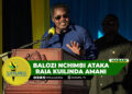 BALOZI NCHIMBI ATAKA RAIA KUILINDA AMANI