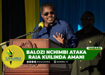 BALOZI NCHIMBI ATAKA RAIA KUILINDA AMANI