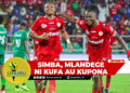 SIMBA, MLANDEGE NI KUFA AU KUPONA