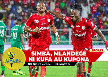 SIMBA, MLANDEGE NI KUFA AU KUPONA
