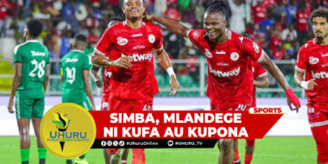 SIMBA, MLANDEGE NI KUFA AU KUPONA