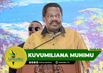 KUVUMILIANA MUHIMU