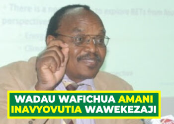 WADAU WAFICHUA AMANI INAVYOVUTIA WAWEKEZAJI