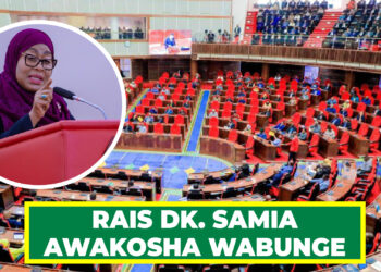 RAIS DK. SAMIA AWAKOSHA WABUNGE
