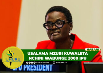 USALAMA MZURI KUWALETA NCHINI WABUNGE 2000 IPU