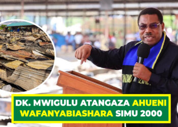 DK. MWIGULU ATANGAZA AHUENI WAFANYABIASHARA SIMU 2000