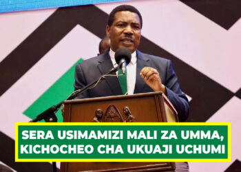 SERA USIMAMIZI MALI ZA UMMA, KICHOCHEO CHA UKUAJI UCHUMI