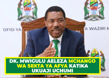 DK. MWIGULU AELEZA MCHANGO WA SEKTA YA AFYA KATIKA UKUAJI UCHUMI