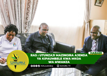 RAS: UTUNZAJI MAZINGIRA AJENDA YA KIPAUMBELE KWA MKOA WA MWANZA