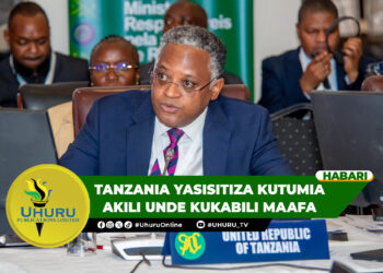 TANZANIA YASISITIZA KUTUMIA AKILI UNDE KUKABILI MAAFA